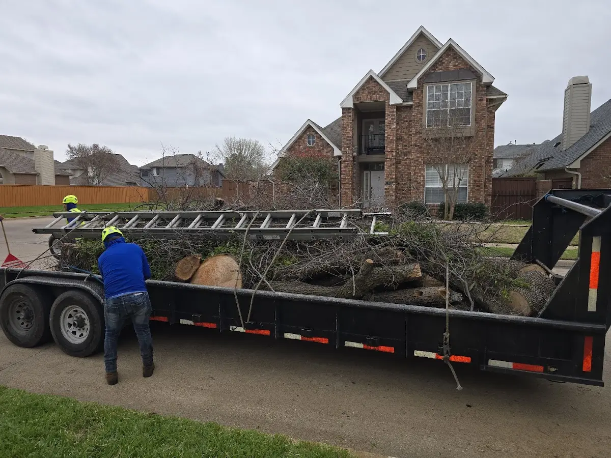 Expert Tree Pest Control with proper safety equipment in Eatonton